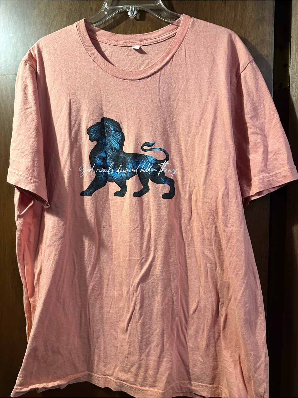 Pink T‑Shirt with Navy Lion Graphic “God reveals all things” oversized tee